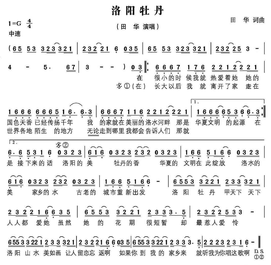 洛阳牡丹