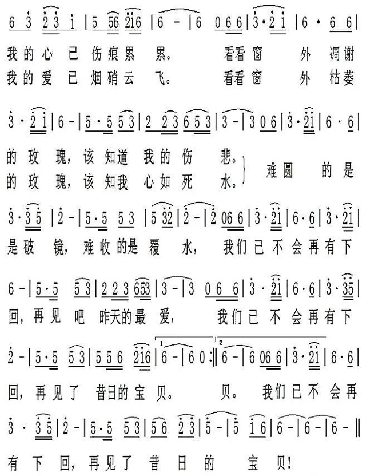 窗外的玫瑰
