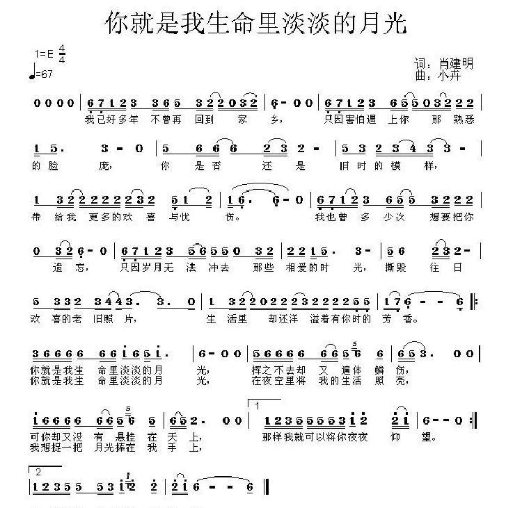 你就是我生命里淡淡的月光