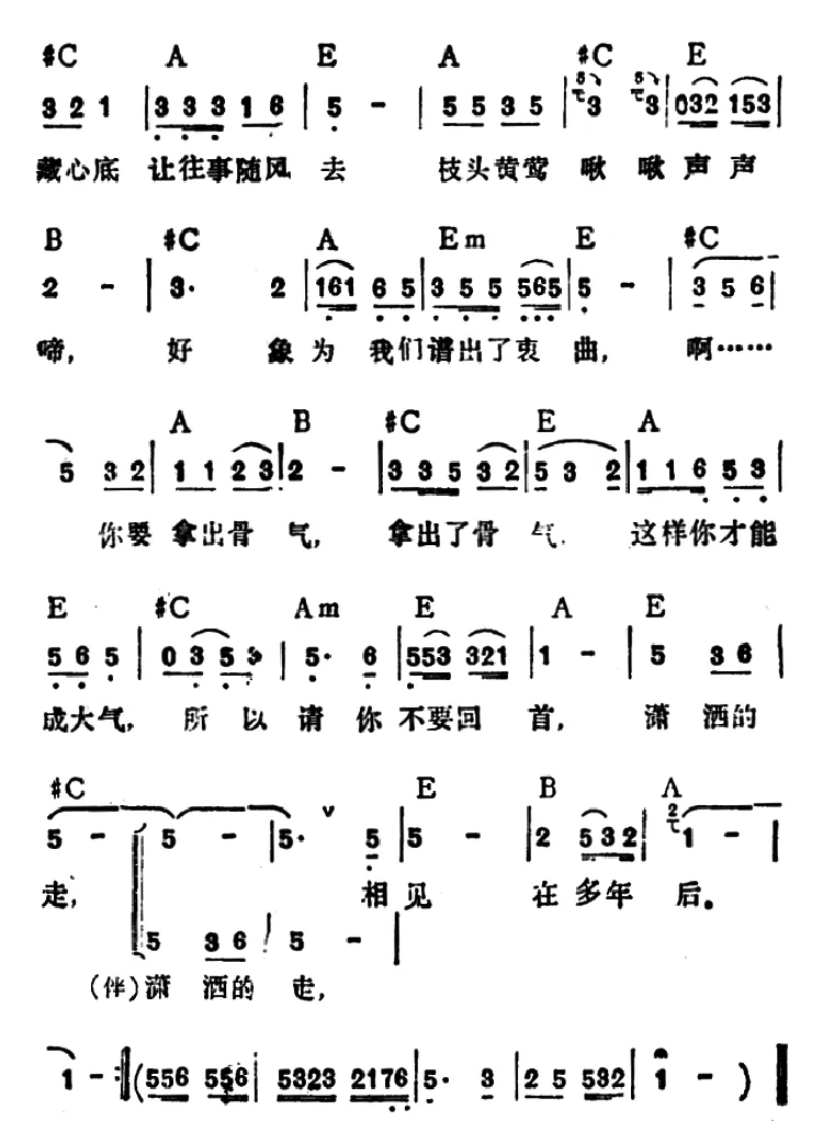 不要再回首