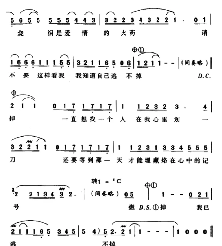 燃烧（孙楠演唱版）