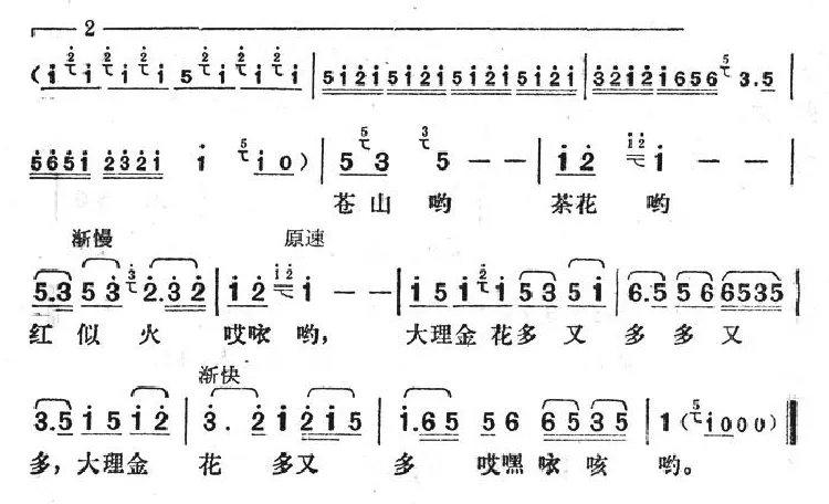 大理金花多又多