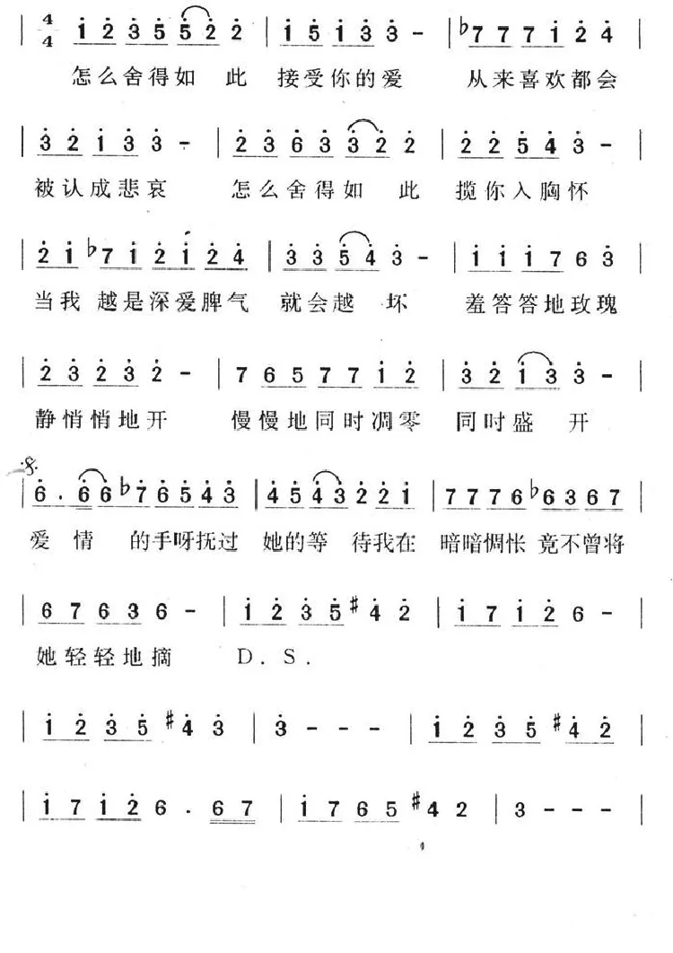 羞答答的玫瑰静悄悄的开