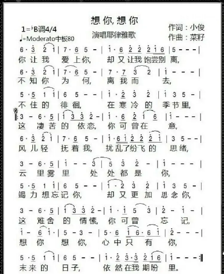 想你，想你（小俊词 菜籽曲）