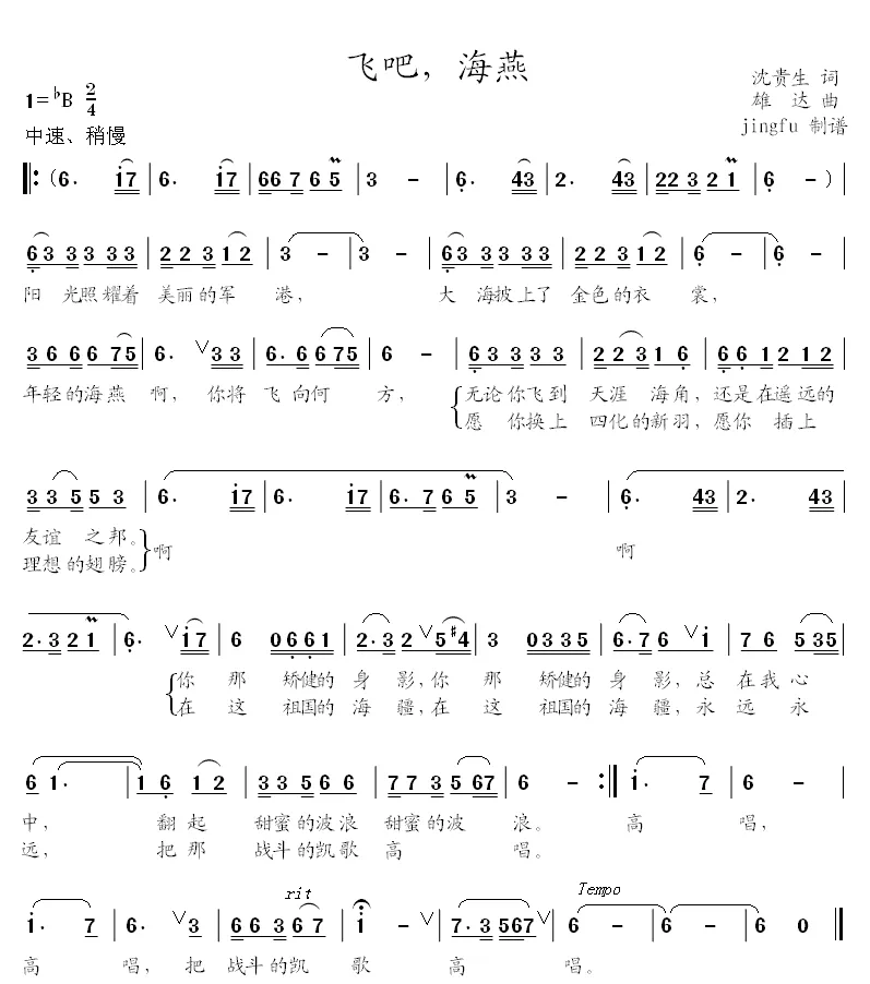 飞吧，海燕
