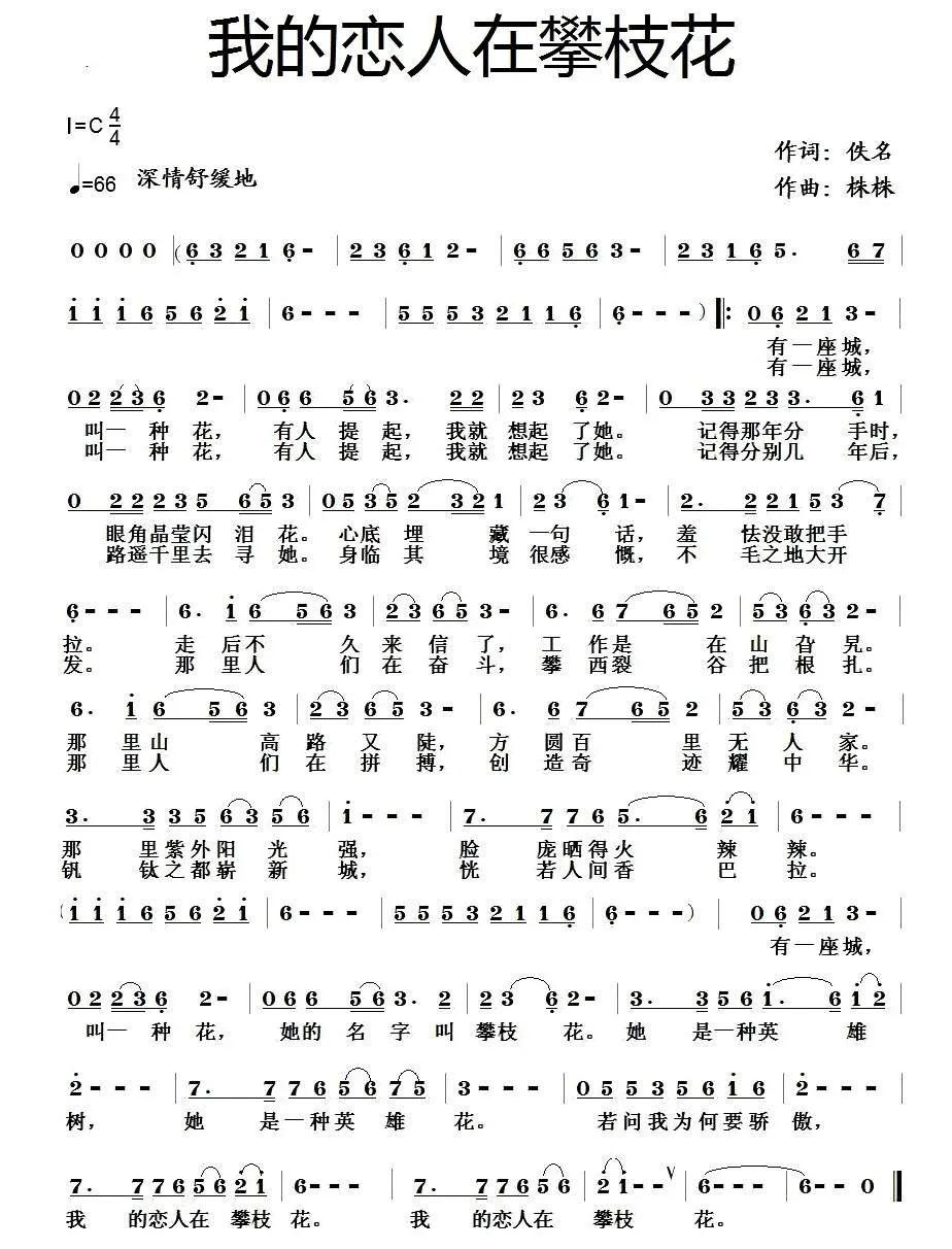 我的恋人在攀枝花