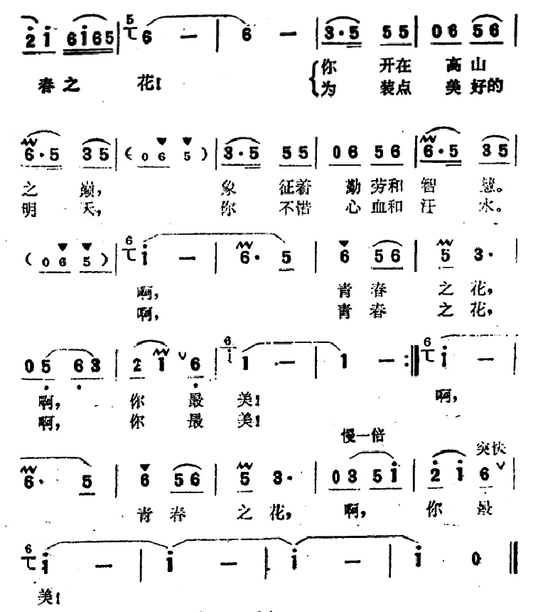 啊，青春之花（电视剧《青春之花》插曲）