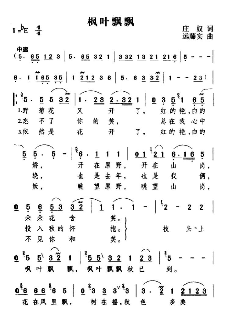 枫叶飘飘