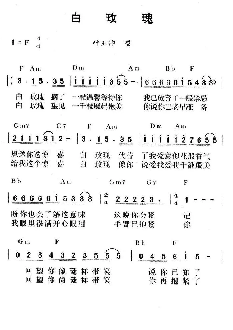 白玫瑰