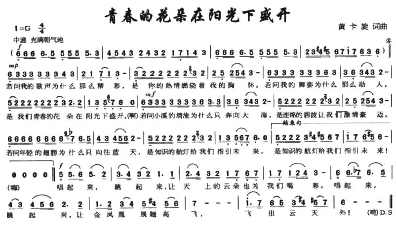 青春的花朵在阳光下盛开