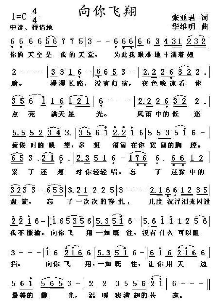 向你飞翔