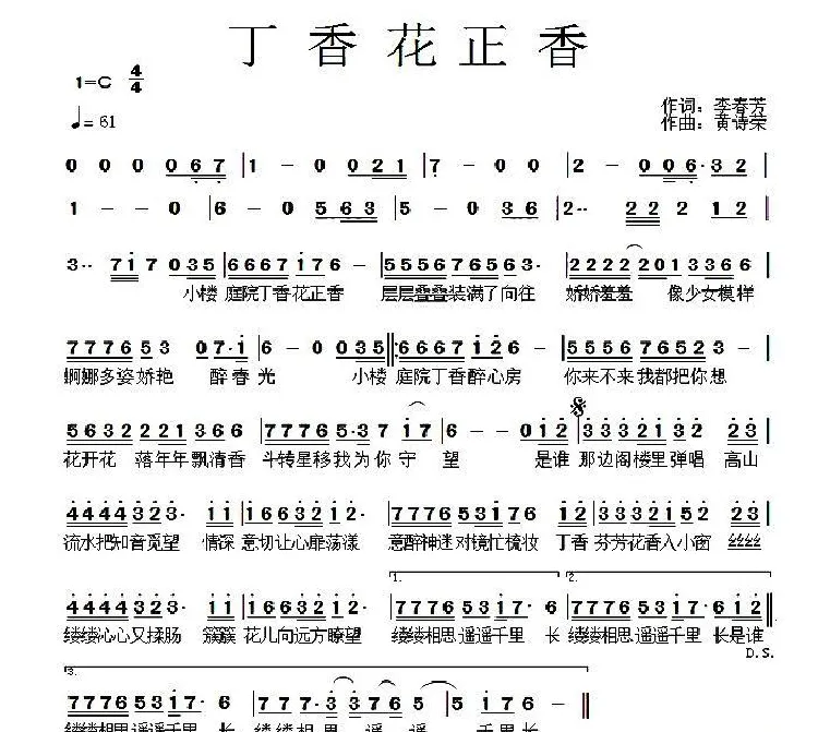 丁香花正香