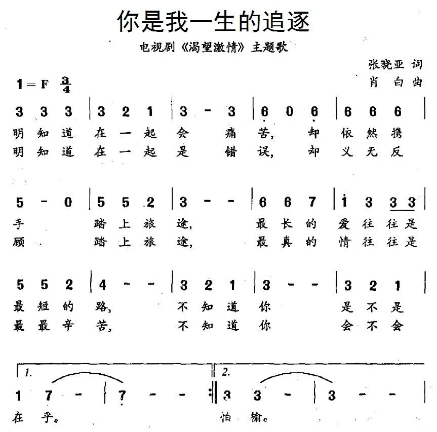 你是我一生的追逐（电视剧《渴望激情》主题歌）