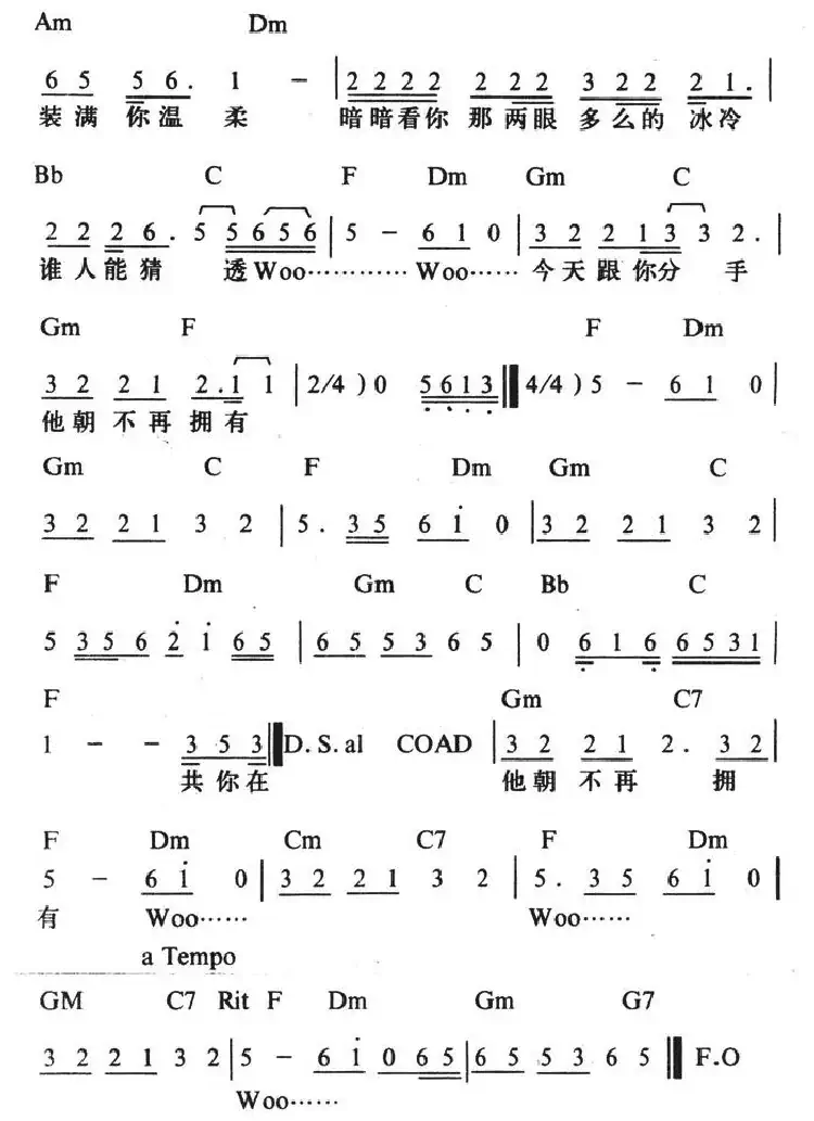 相逢在雨中（带和弦）