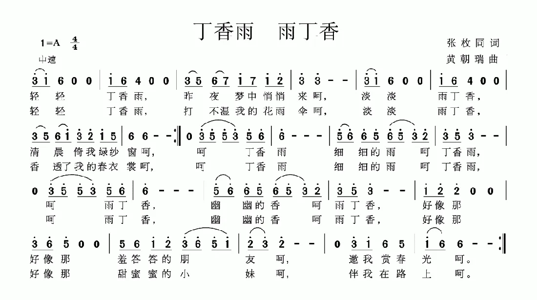 丁香雨 雨丁香