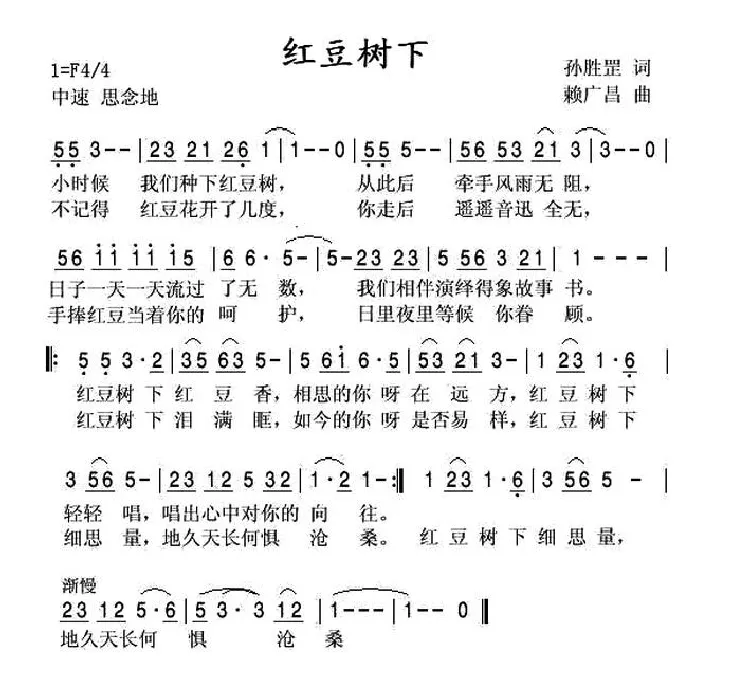 红豆树下