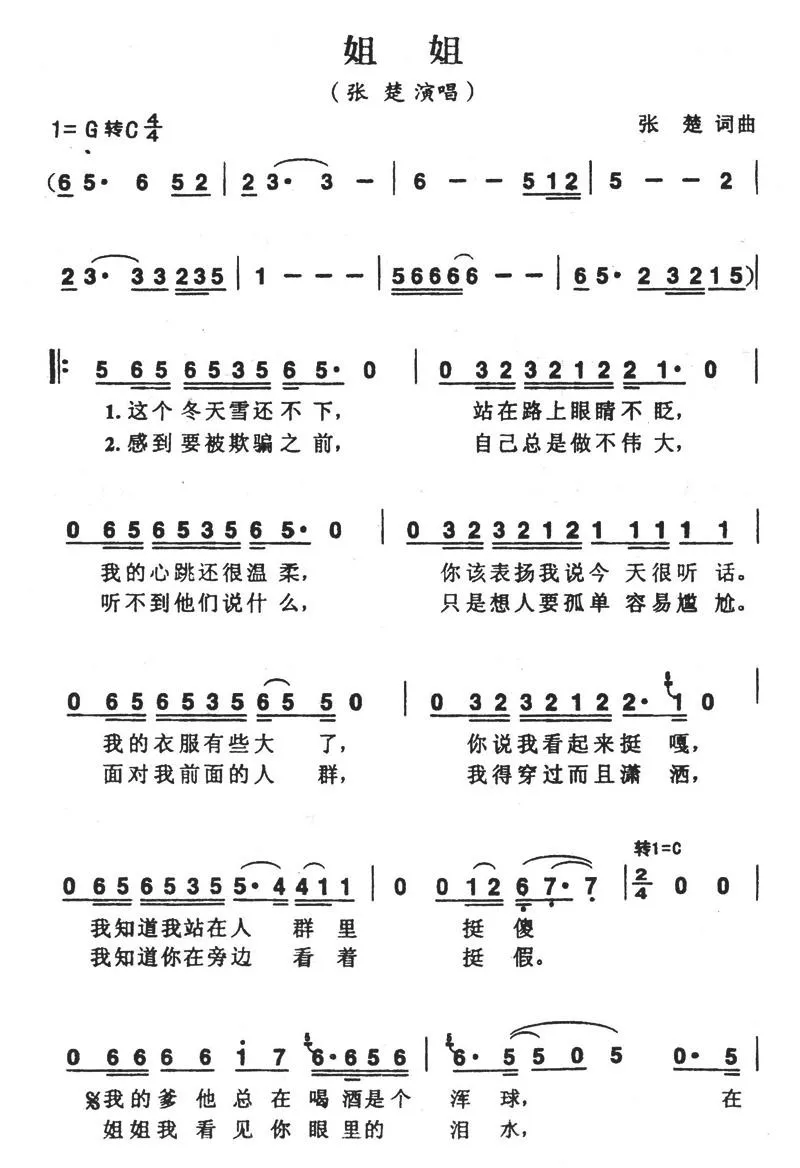 姐姐（张楚词曲）