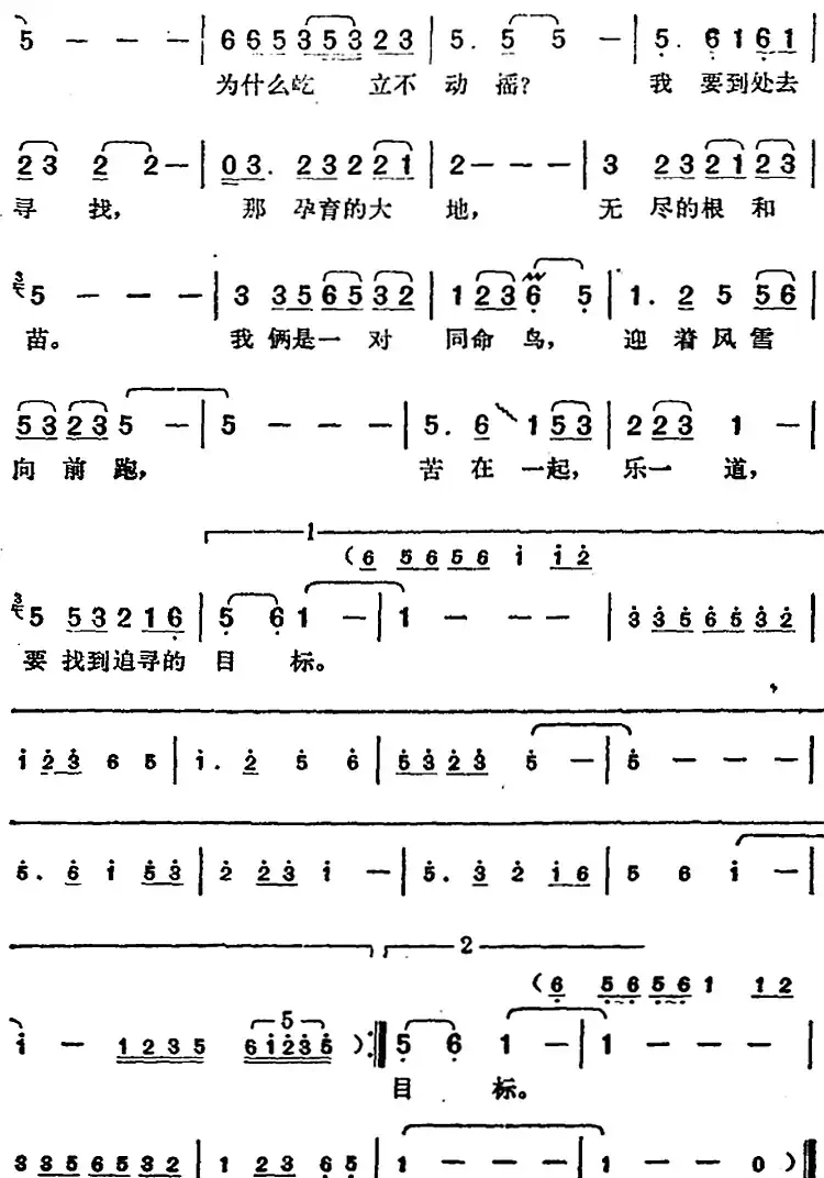 邓丽君演唱金曲：迎着风跟着云