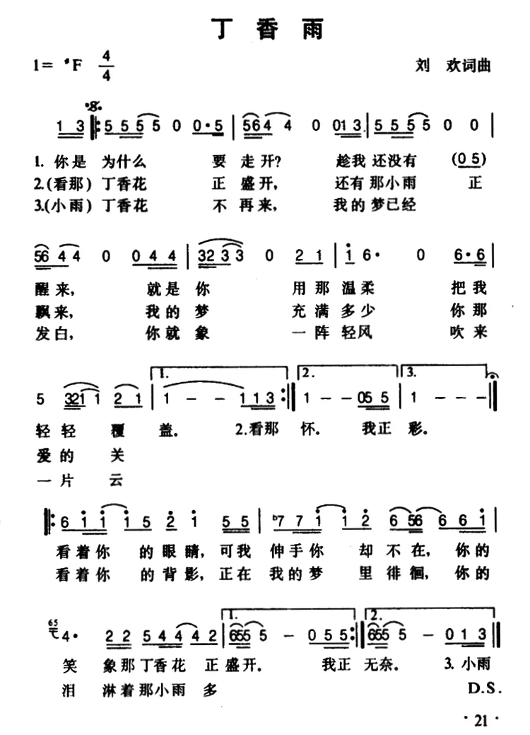 丁香雨