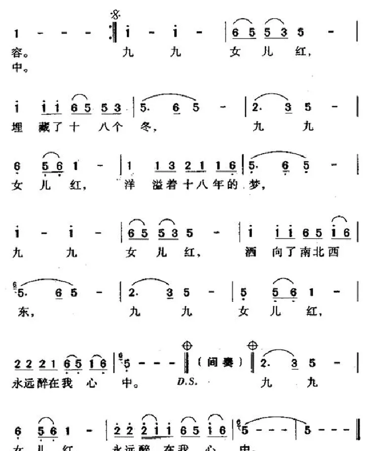 九九女儿红