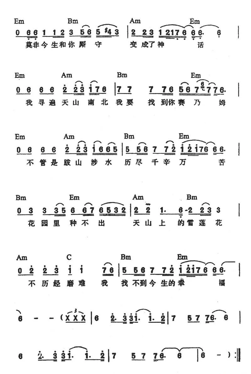艾里莆与赛乃姆