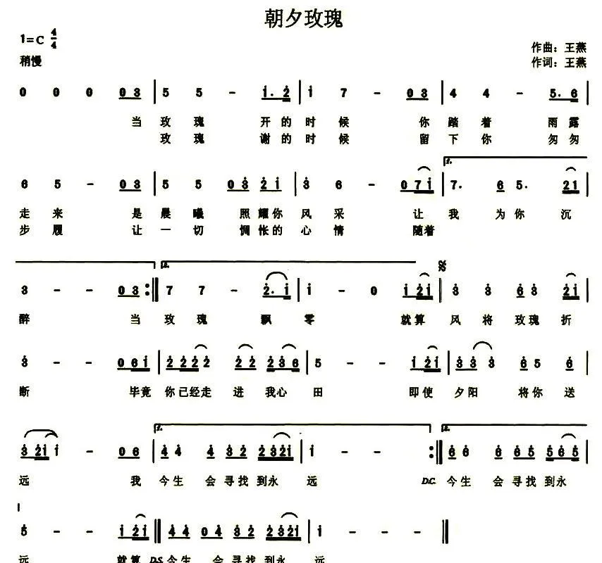朝夕玫瑰