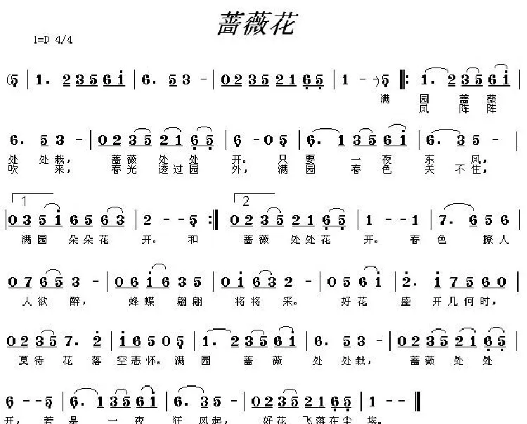 蔷薇花