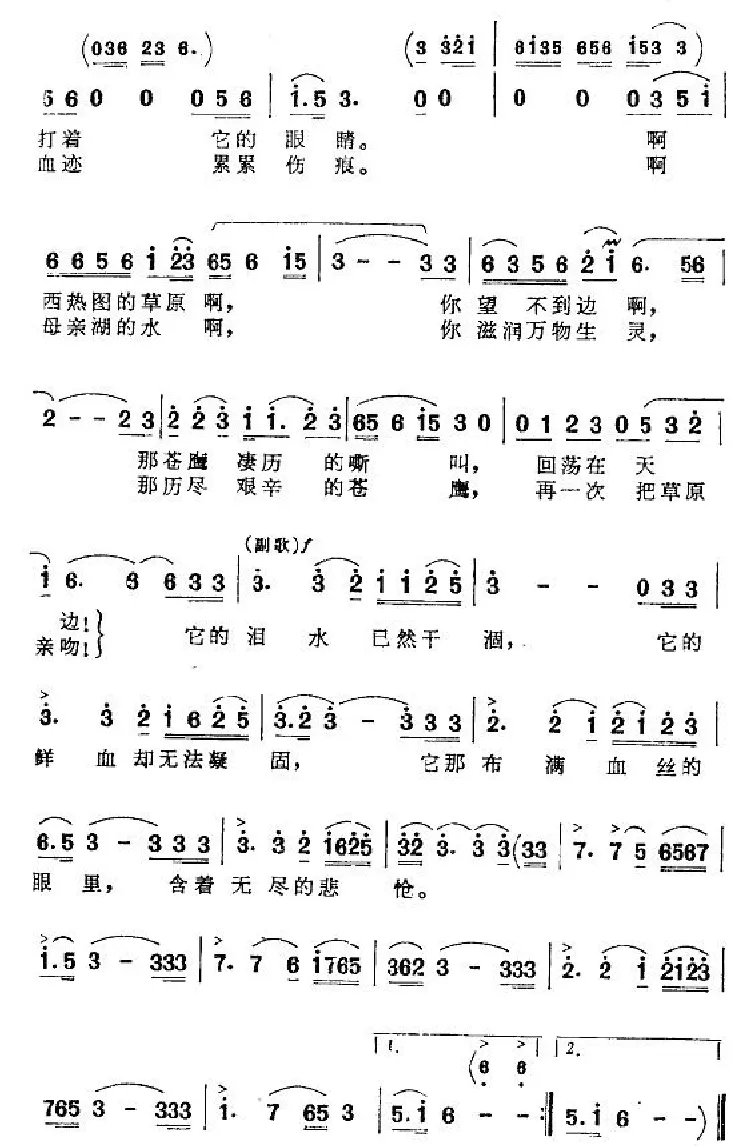 苍鹰之歌