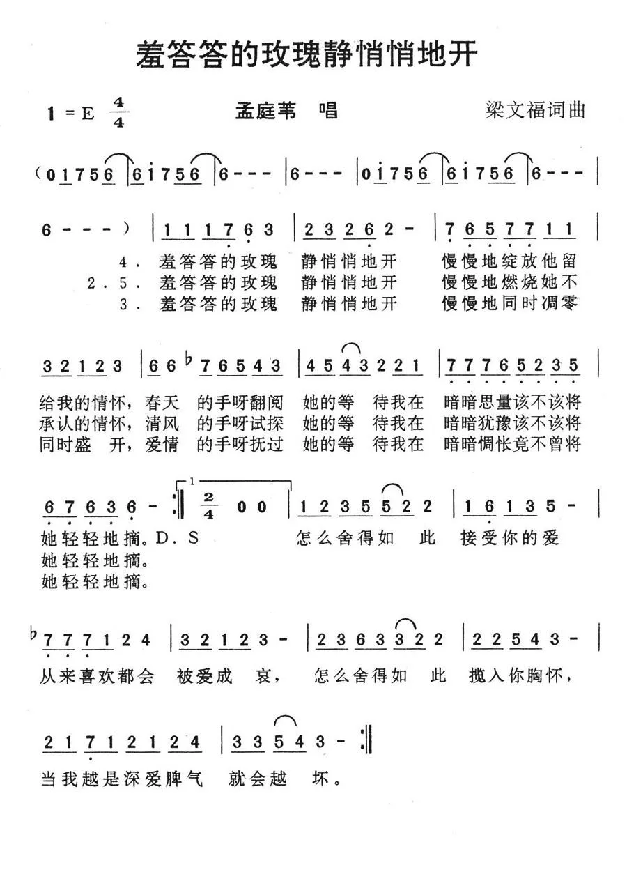 羞答答的玫瑰静悄悄地开