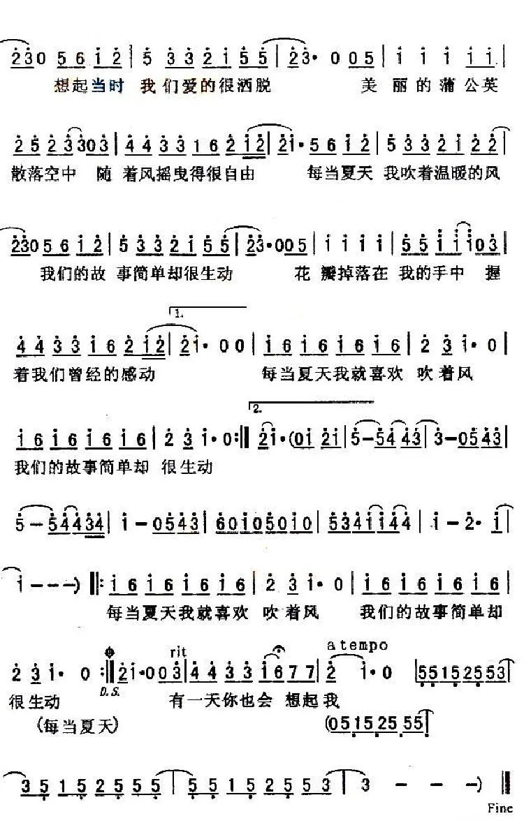 夏天的风