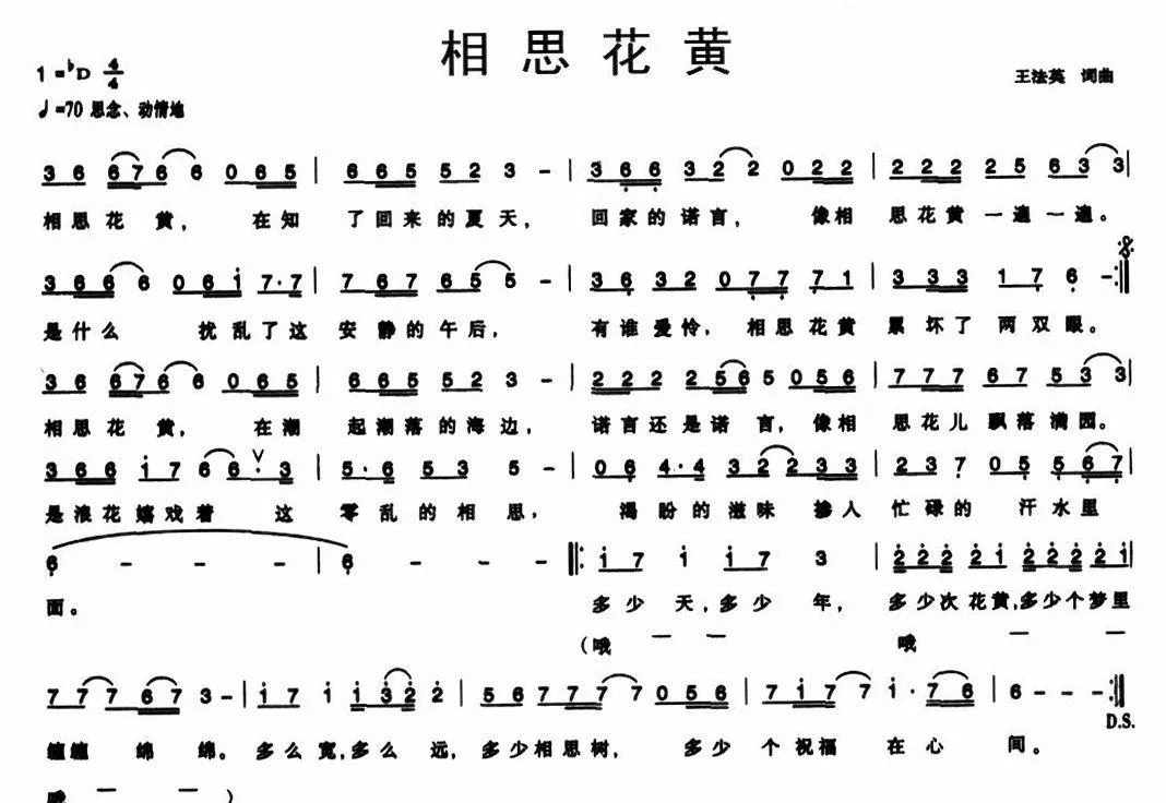相思花黄