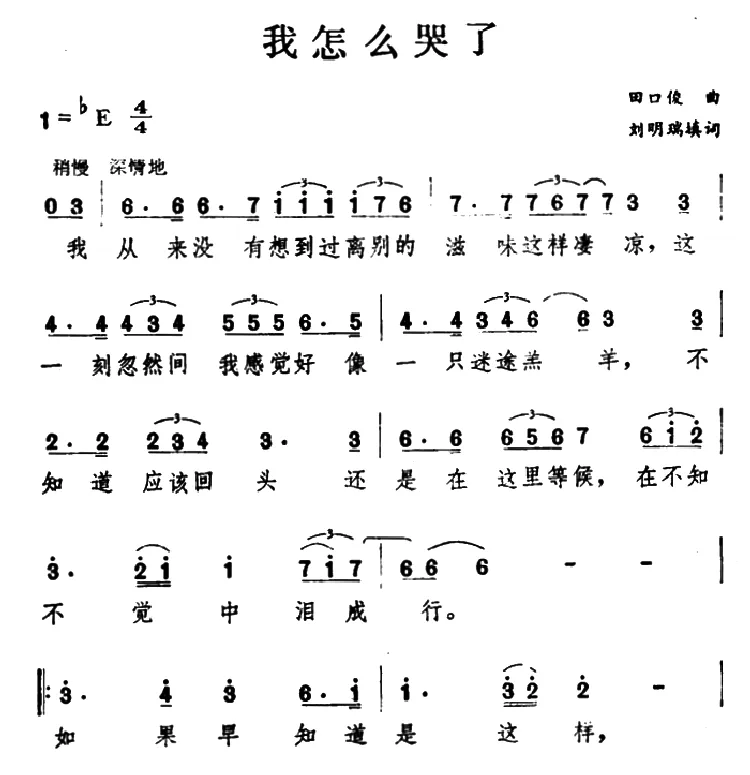 我怎么哭了（刘明瑞填词词 田口俊曲）