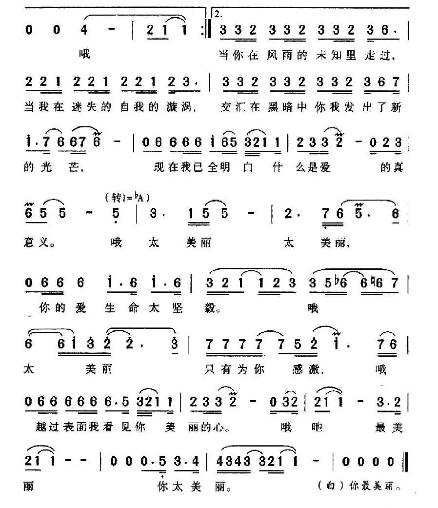 太美丽